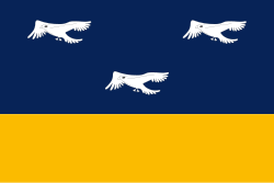 Bandeira de Arapongas - PR
